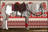 Horse Color:Silver Grullo Frame