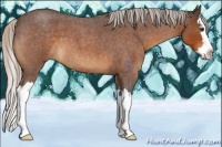 Horse Color:Silver Buckskin Roan Splash 