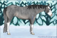 Horse Color:Blue Roan Sabino Splash 