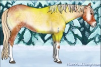 Horse Color:Silver Bay Ice Roan Onyx 