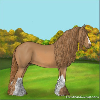Horse Color:Chestnut  and Chestnut 