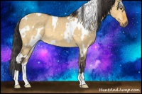 Horse Color:White Spotted Buckskin Dun 