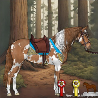 Horse Color:White Spotted Chestnut
