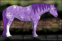 Horse Color:Watercolor Black Ice