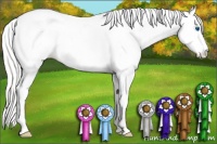 Horse Color:Silver Perlino Roan Dun Splash Tobiano Frame Appaloosa Rabicano