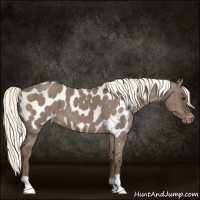 Horse Color:Liver Red Dun Mushroom Blanket Brindle 