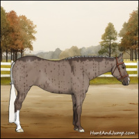 Horse Color:Liver Red Dun Mushroom Brindle 