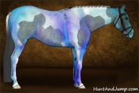 Horse Color:Blue Roan Tobiano Rabicano