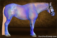 Horse Color:Gold Champagne Roan Sabino Appaloosa Rabicano 