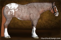 Horse Color:Liver Red Roan Sabino Blanket Rabicano 