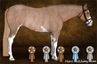 Horse Color:Red Roan Sabino Rabicano