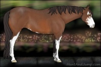 Horse Color:Buckskin Roan Sabino