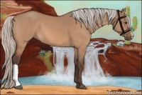 Horse Color:Silver Bay Dun 