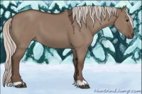 Horse Color:Silver Grullo