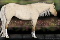 Horse Color:Silver Smoky Grullo Roan Rabicano 