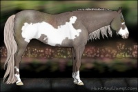 Horse Color:Silver Blue Roan Frame Varnish Rabicano 