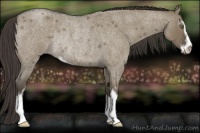 Horse Color:Smoky Grullo Roan Sabino Rabicano 