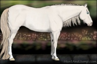Horse Color:Smoky Creme Roan Dun Rabicano