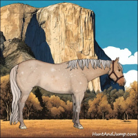 Horse Color:Silver Bay Dun