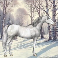 Horse Color:Platinum White Spotted Chocolate Palomino Pearl Splash 