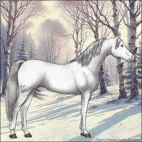 Horse Color:Gray Platinum White Spotted Chocolate Palomino Pearl Onyx 