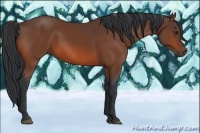 Horse Color:Brown 