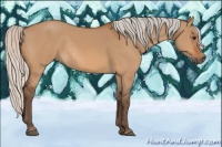 Horse Color:Silver Bay Dun Rabicano 