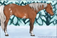 Horse Color:White Spotted Silver Bay 