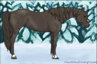 Horse Color:Smoky Black 