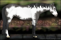 Horse Color:Black Frame
