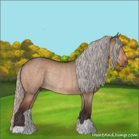 Horse Color:Silver Bay Dun Rabicano 