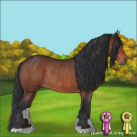 Horse Color:Brown Rabicano 