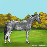 Horse Color:Black Chinchilla Ice Tobiano 