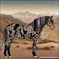 Horse Color:White Spotted Buckskin Appaloosa Rabicano