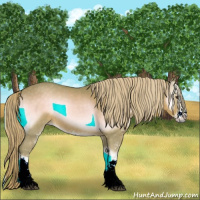 Horse Color:Watercolor Palomino Onyx Sabino