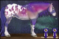 Horse Color:Watercolor Blue Onyx Appaloosa 
