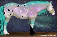 Horse Color:Watercolor Brown Onyx Appaloosa Rabicano 