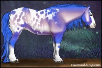 Horse Color:Watercolor Bay Onyx Splash Appaloosa 