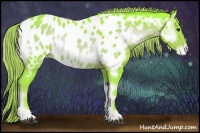 Horse Color:Watercolor Liver Red Onyx Appaloosa 
