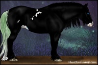 Horse Color:Watercolor Buckskin Onyx Splash Appaloosa