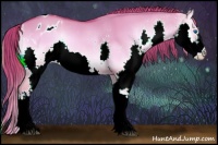 Horse Color:Watercolor Red Dun Onyx Splash Appaloosa 