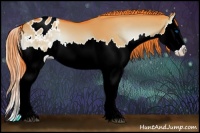 Horse Color:Watercolor Liver Red Dun Onyx Splash Appaloosa 