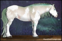Horse Color:Watercolor Bay Onyx Splash Appaloosa 