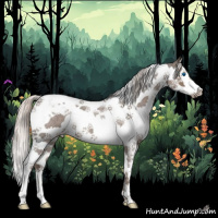Horse Color:Silver Blue Roan Splash Tobiano 