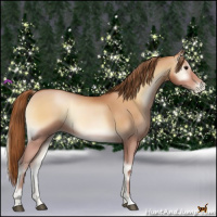 Horse Color:Bay Pearl Onyx 