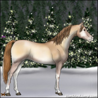 Horse Color:Red Onyx Pearl 