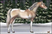 Horse Color:Silver Blue Onyx Pearl Tobiano 