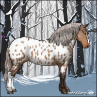 Horse Color:Silver Brown Dun Near Leopard 