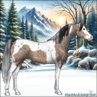 Horse Color:Bay Ice Sabino Splash Tobiano 