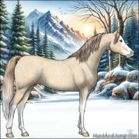 Horse Color:Gold Cream Champagne Ice Roan Dun Sabino Splash 